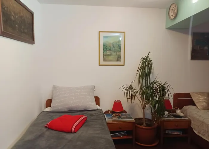 Brașovia